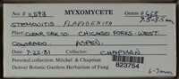Image Associated With the Occurence